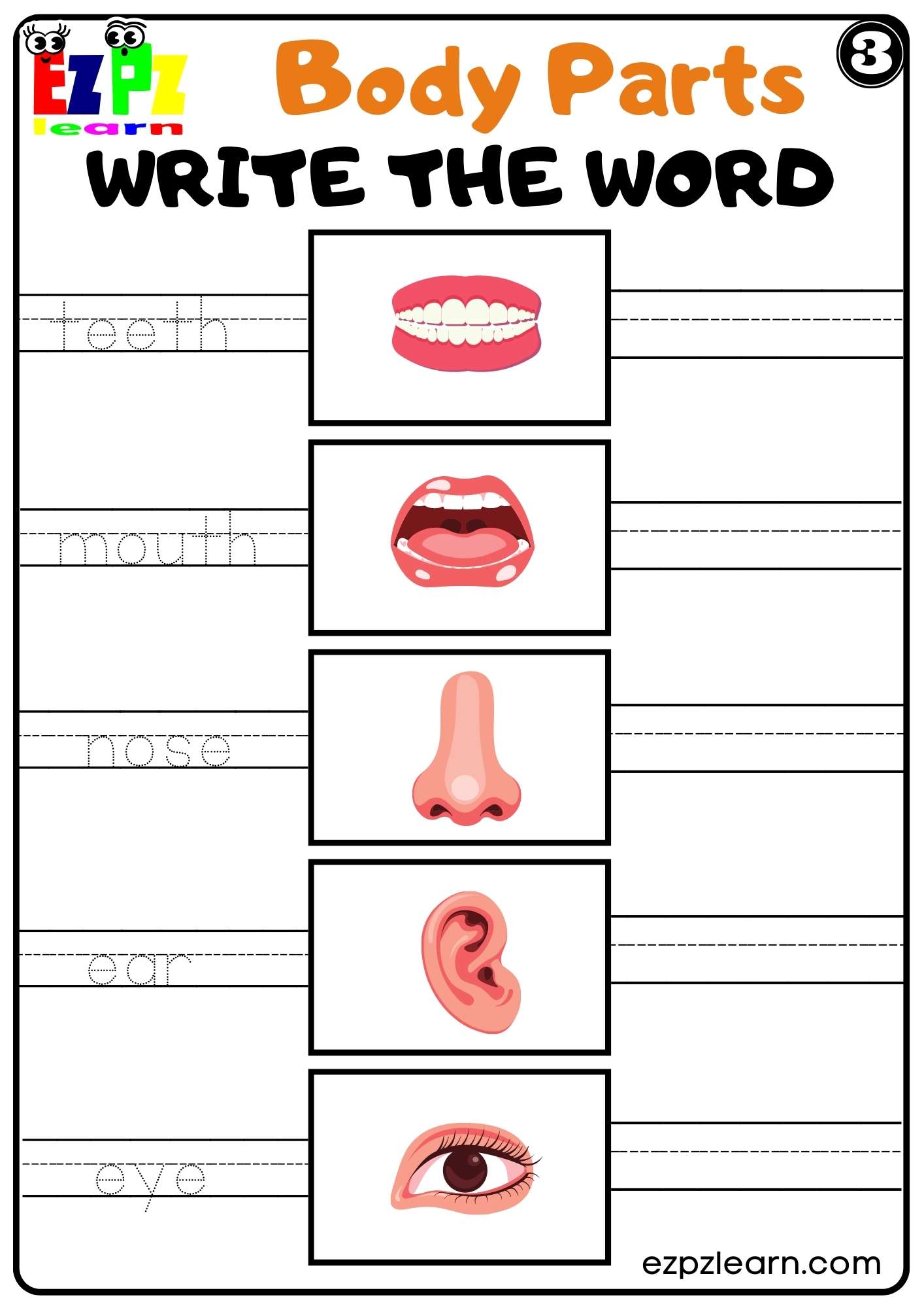 Body Parts Write The Word Worksheet For Kids And Esl Pdf Download Set